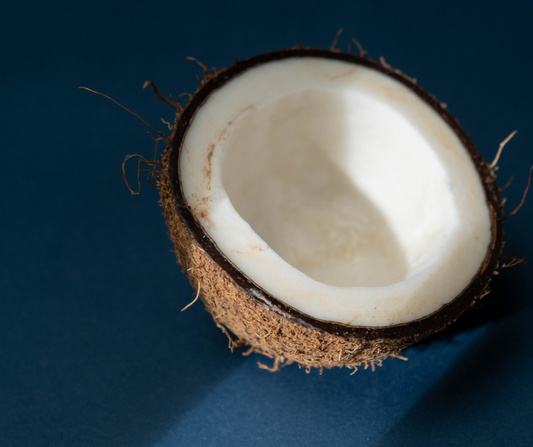 A Place In Modern Pantries  by Kate Fraser, ChCh Press 2012